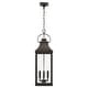 preview thumbnail 6 of 7, Bradford 4-light Outdoor Hanging Lantern