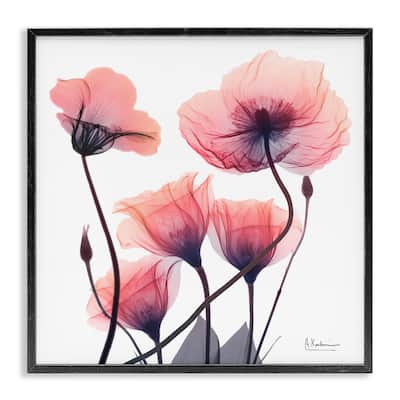 Stupell Elegant Modern Poppy Buds Framed Giclee Art Design By Albert Koetsier