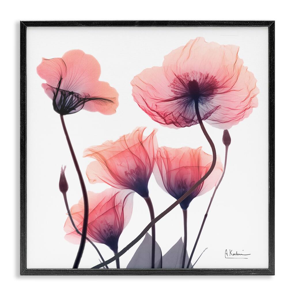 Stupell Elegant Modern Poppy Buds Framed Giclee Art Design By Albert Koetsier