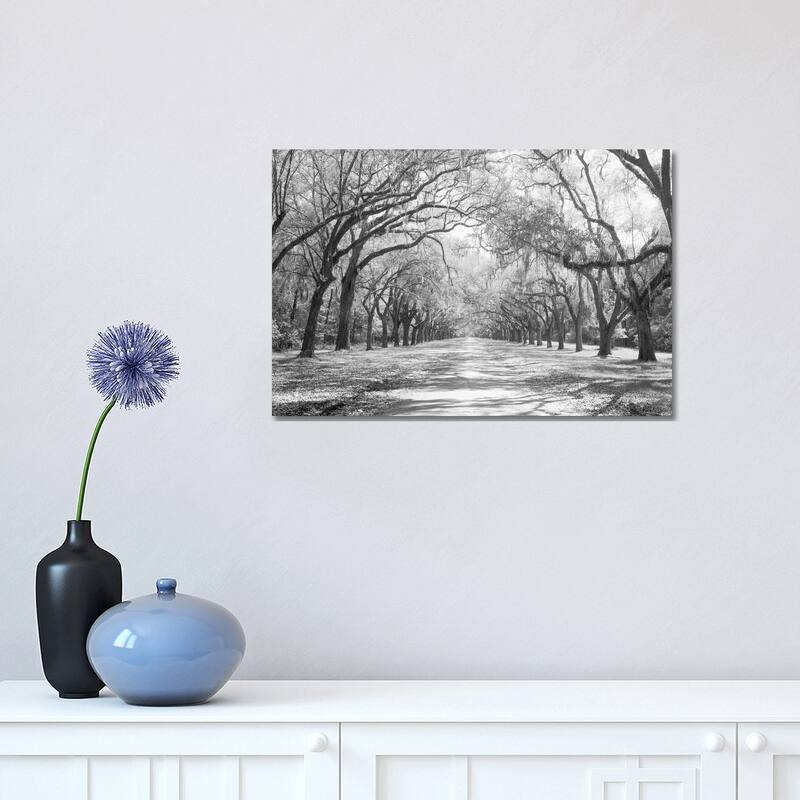 iCanvas "Live Oaks And Spanish Moss in B&W, Wormsloe State Historic Site, Savannah, Georgia I" by Panoramic Images Canvas Print - 12x18x1.5