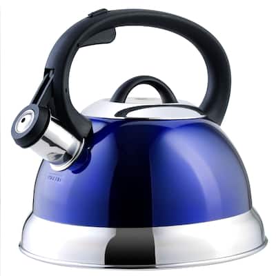 Mr. Coffee Flintshire Stainless Steel 1.75 Quart Whistling Tea Kettle with Stay Cool Handle and Flip-Up Spout - 1.75 Quart