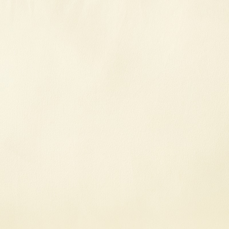 Modern Armchair Velvet Accent Chair Reading Chair Single Sofa Chair for Living Room, Bedroom, or Reading Corner