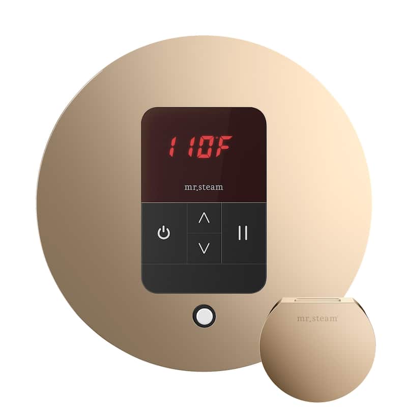 Mr Steam BBR Basic Butler Package Steam Shower Control Package with