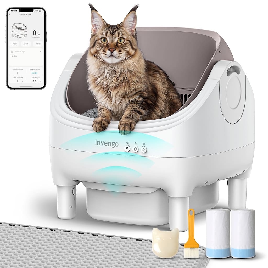 Smart Automatic Self-Cleaning Cat Litter Box, 2.4GHz Wifi