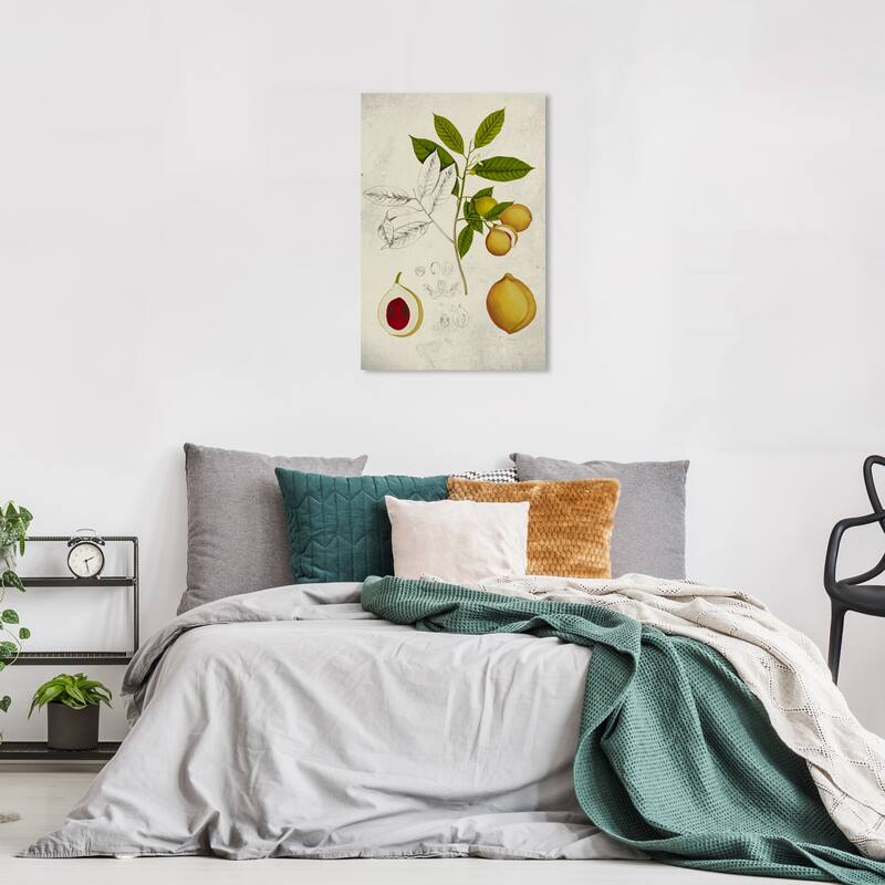 Wynwood Studio Canvas Food and Cuisine Peach Plant Tree Green and Traditional Wall Art Canvas Print - 24 x 16
