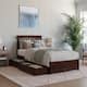 Option Walnut