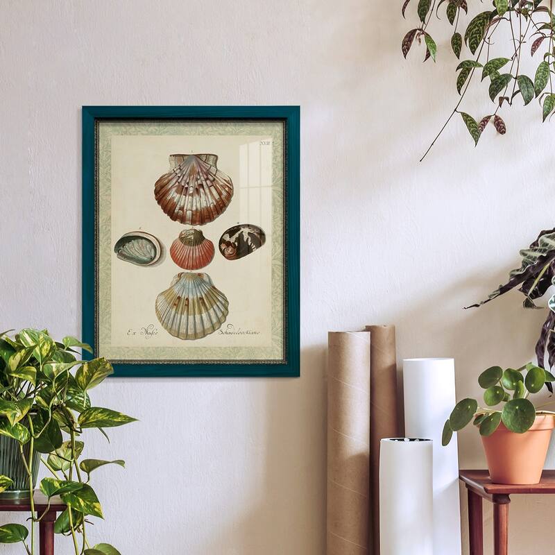 Bookplate Shells III -Framed Print w/glass-Cherry Red