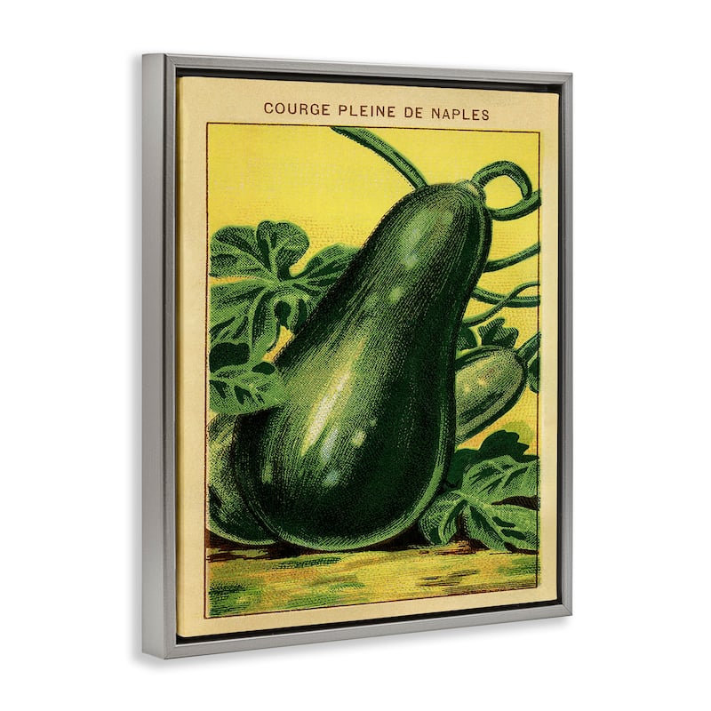 Stupell Country Vintage Squash Framed Floater Canvas Wall Art Design By Lil' Rue