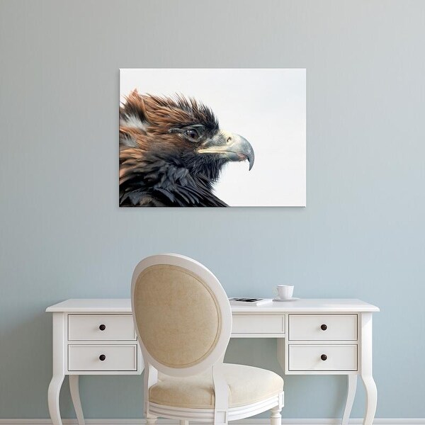 Easy Art Prints Amos Nachoum's 'Golden Eagle Festival' Premium Canvas Art