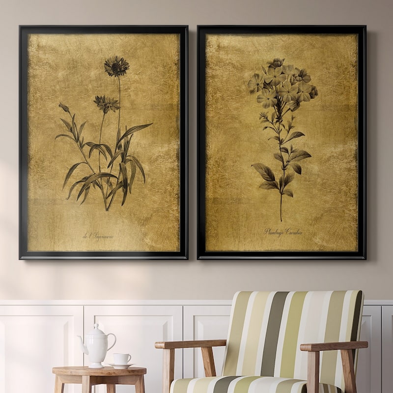 Gold Sketch Botanical I Premium Framed Print - Ready to Hang - Multi-Color