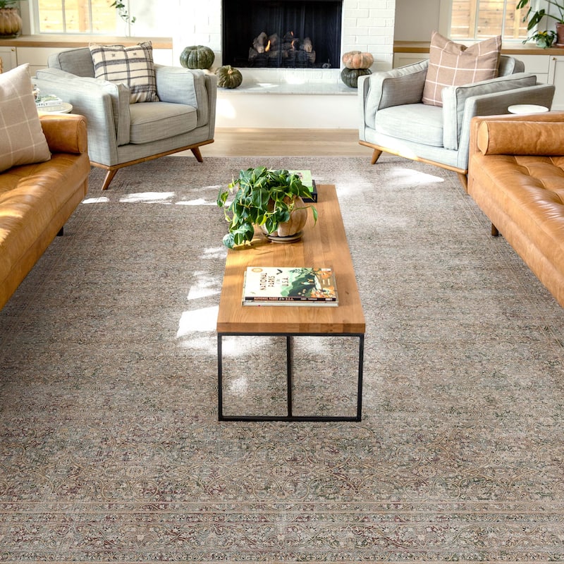 Well Woven Asha Vintage Juliette Persian Flat Pile Area Rug