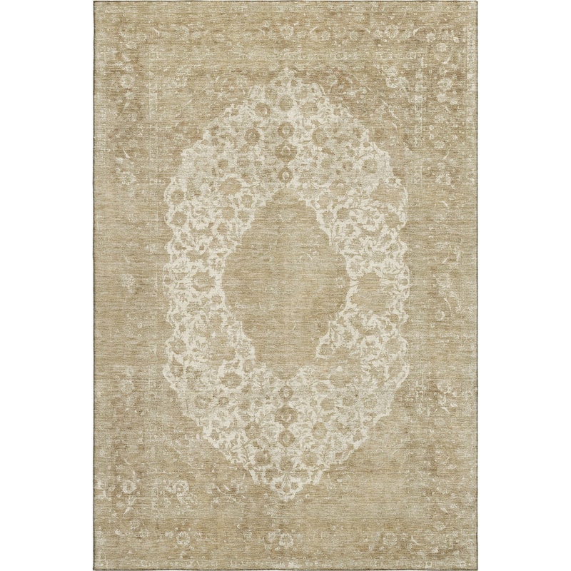 Premium Washable Super Soft Vintage Traditional Mayfield Rug