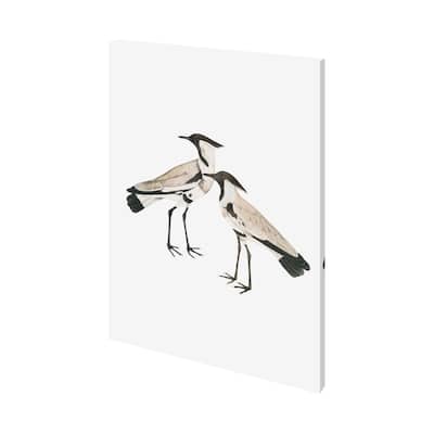 Spur-Winged Plover (27 x 36) Canvas Art Print