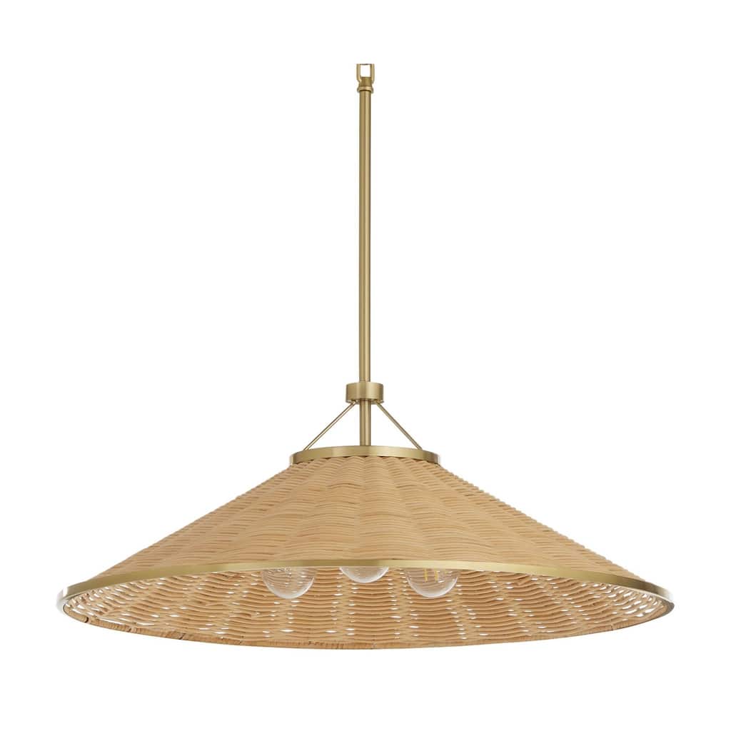 Quorum International 830-3 3 Light 24" Wide Multi Light Pendant
