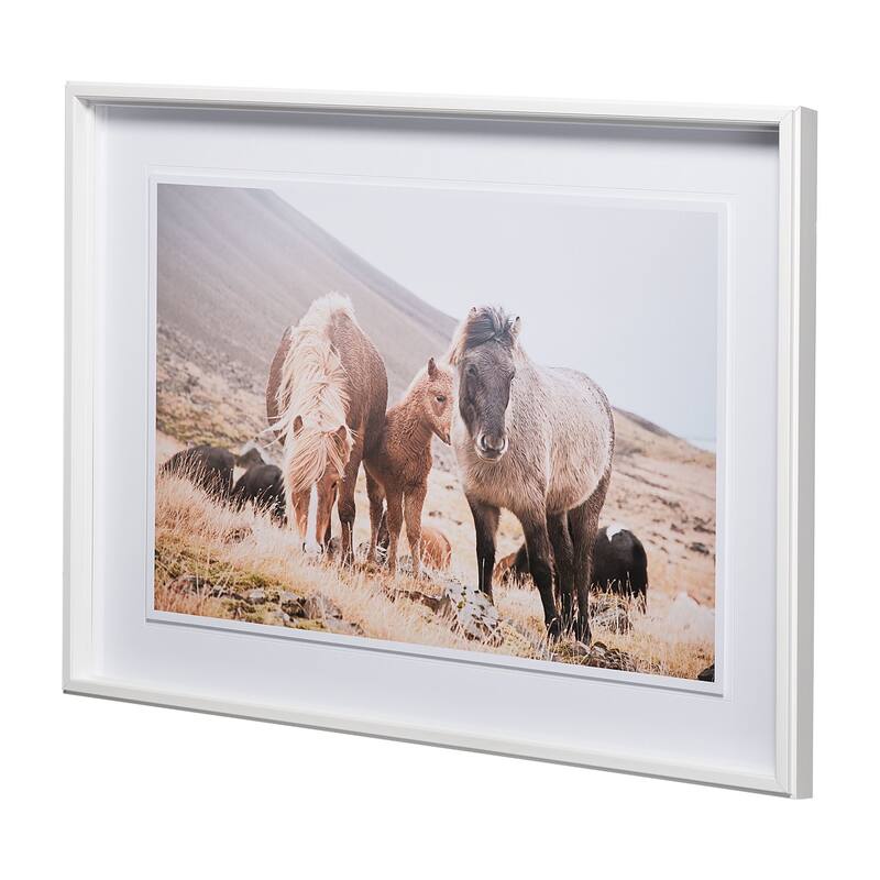 Horses of Hofn I Framed Art Print