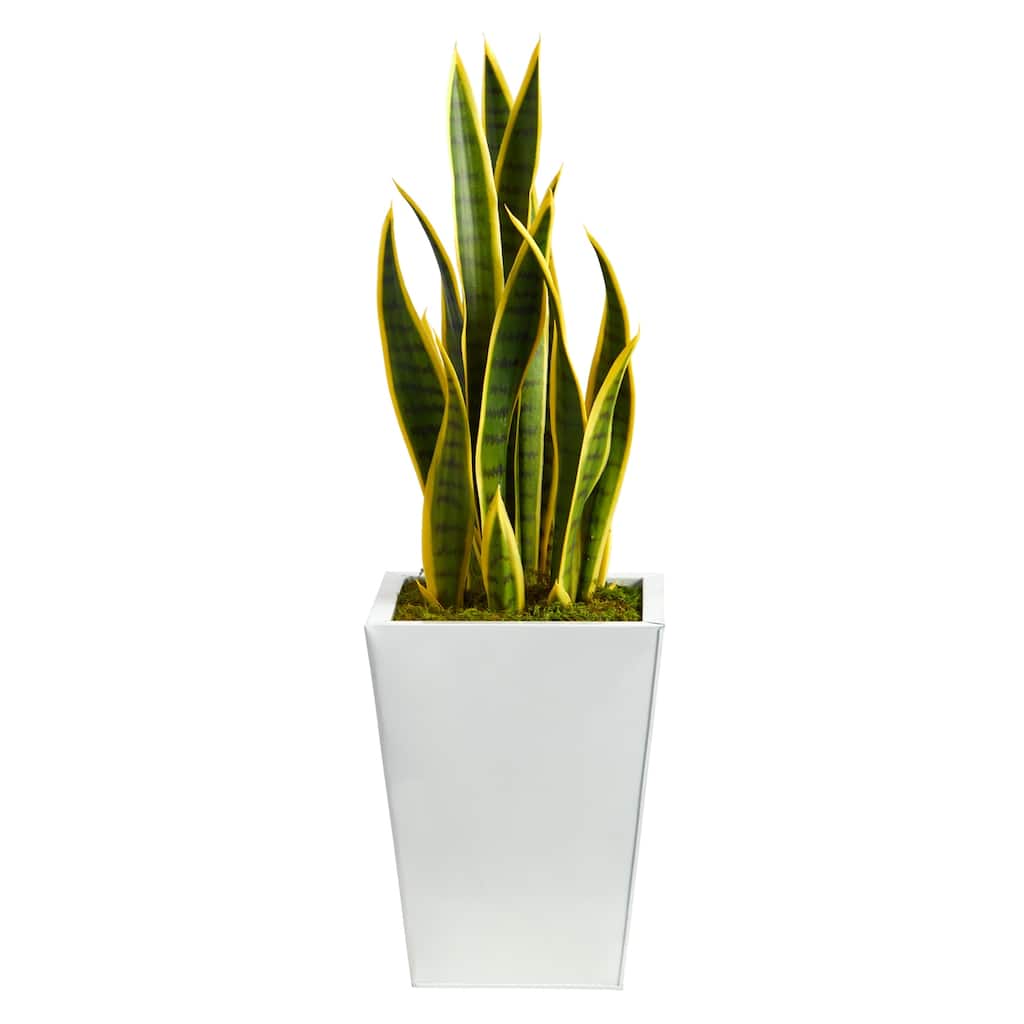 Artificial Snake Plant in Planter - 31" Tall Faux Plant with Black Metal Base - Home Decor Accent - Green