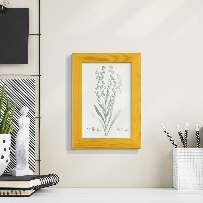 Botanical Study in Sage I -Framed Print w/glass-Cherry Red
