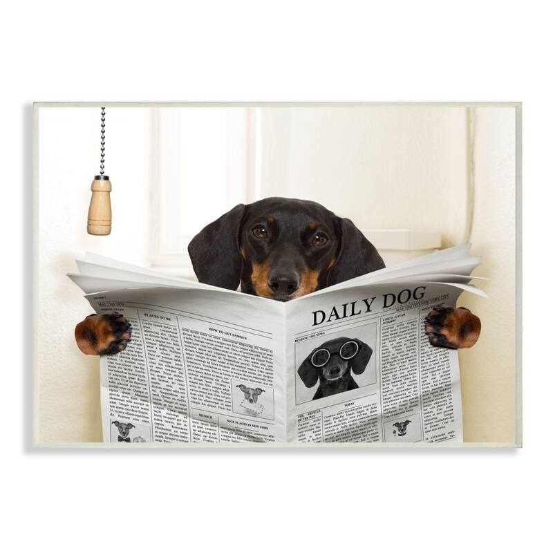 Stupell Dog On Toilet Newspaper Funny Animal Pet Design Wood Wall Art - 10 x 15