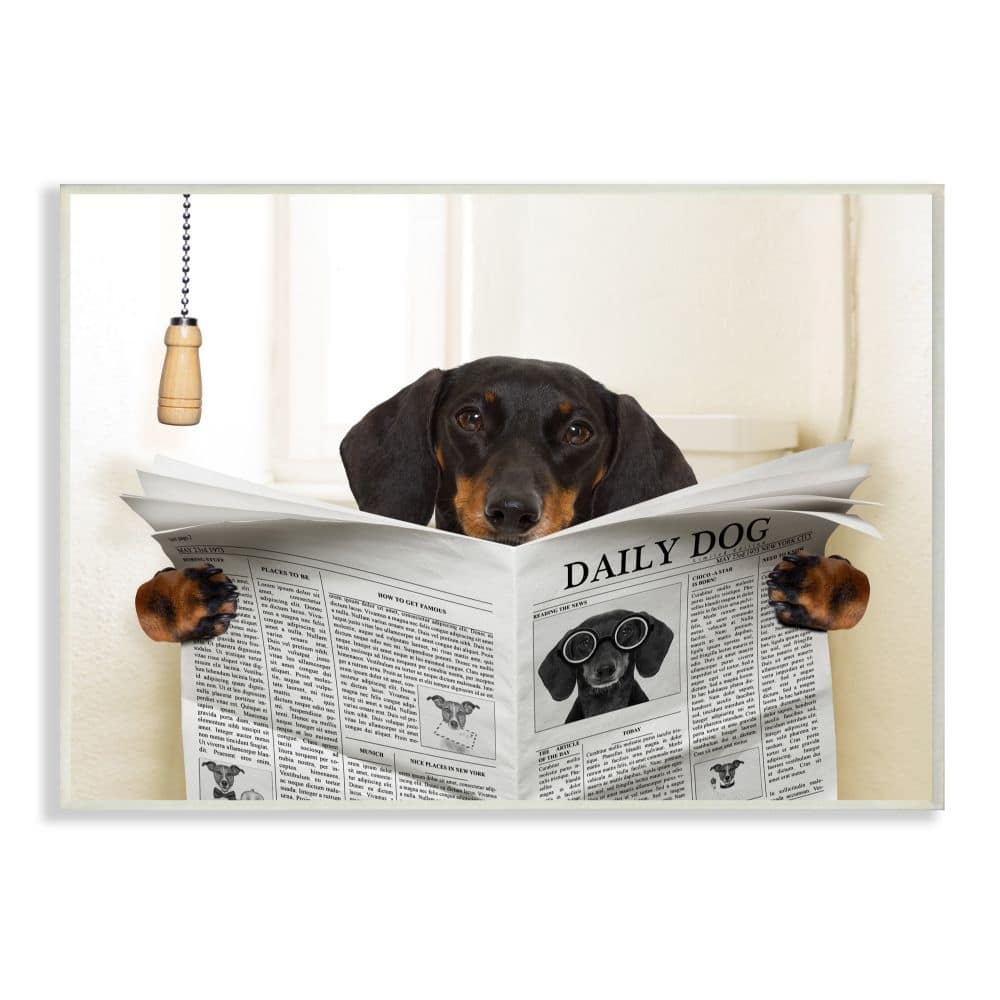 Stupell Dog On Toilet Newspaper Funny Animal Pet Design Wood Wall Art