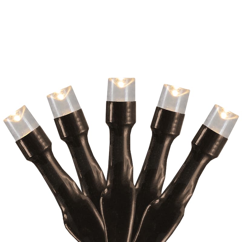 10 B/O Warm White LED Wide Angle Christmas Lights - 3 ft Brown Wire - 3'