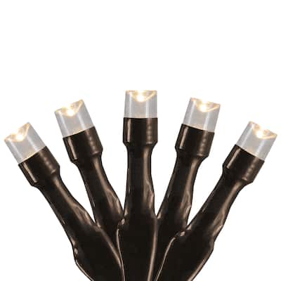 10 B/O Warm White LED Wide Angle Christmas Lights - 3 ft Brown Wire - 3'