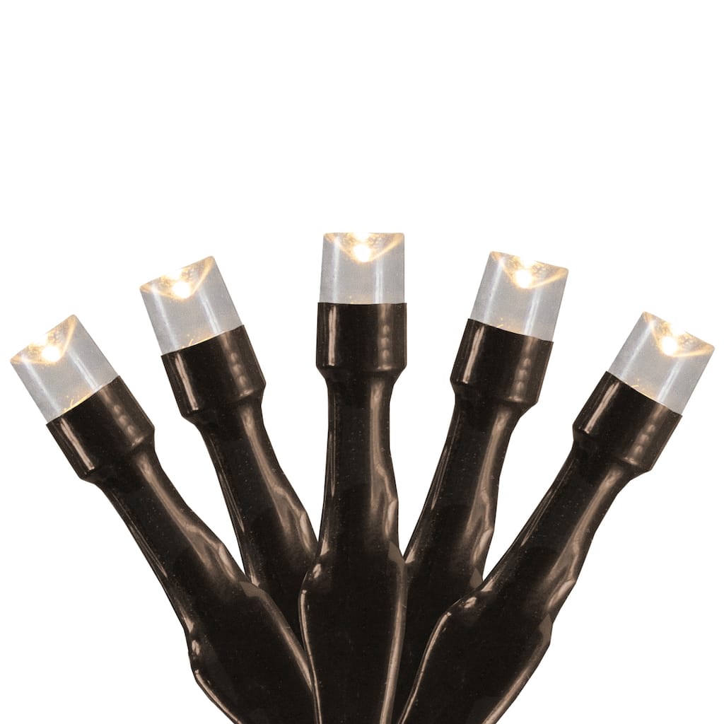 10 B/O Warm White LED Wide Angle Christmas Lights - 3 ft Brown Wire - 3'