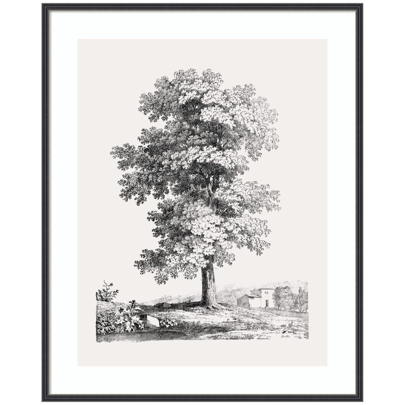 Kate and Laurel Framed Art Jean Victor Bertin Study of a Tree 1816 by The Art Institute of Chicago - 33x41 - Black