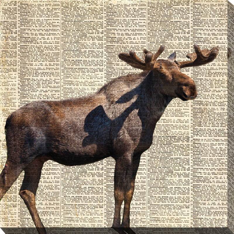 "Country Moose II" Print on Canvas