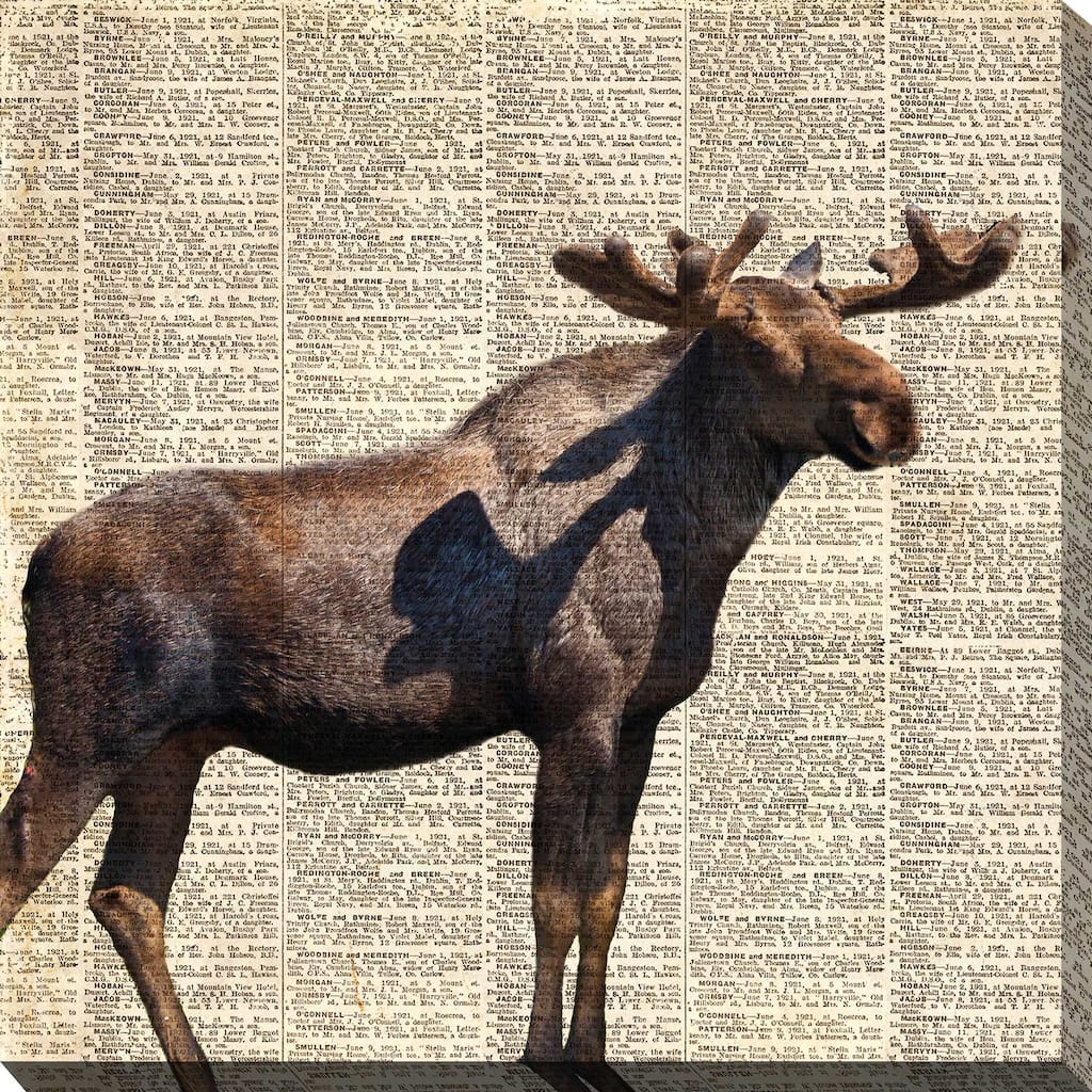 "Country Moose II" Print on Canvas