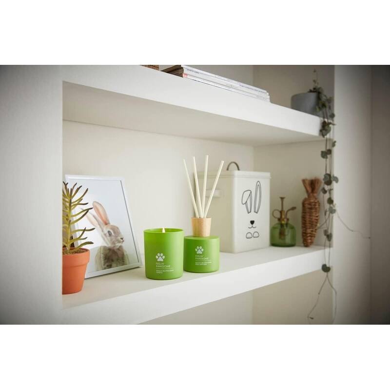 Wax Lyrical HomeScenter Feelin Pawsome Candle 42 HourBurn Time On