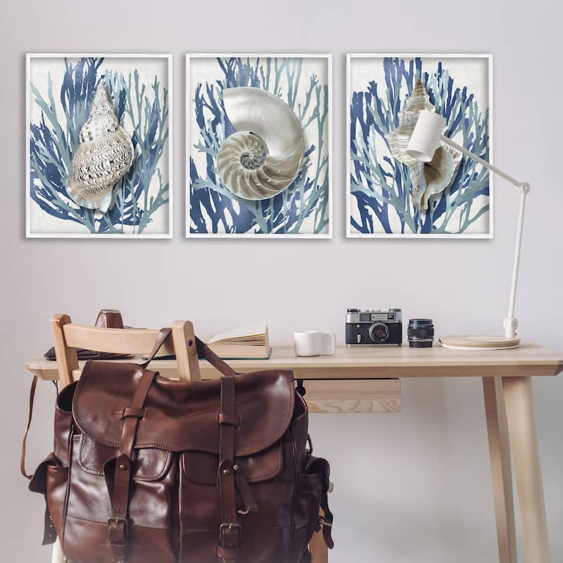 Stupell Trio of Shell Coral Blue Beach Design, 3pc Multi Piece Framed Wall Art Set