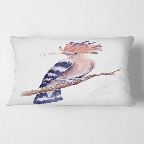 Hoopoe best sale cycle price
