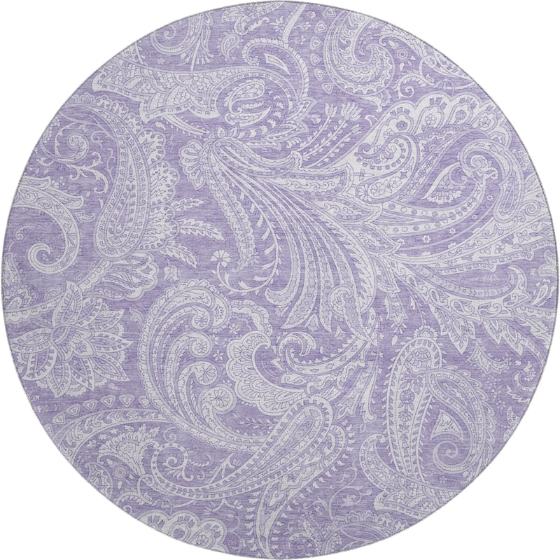 Premium Washable Super Soft Traditional Paisley Mayfield Rug