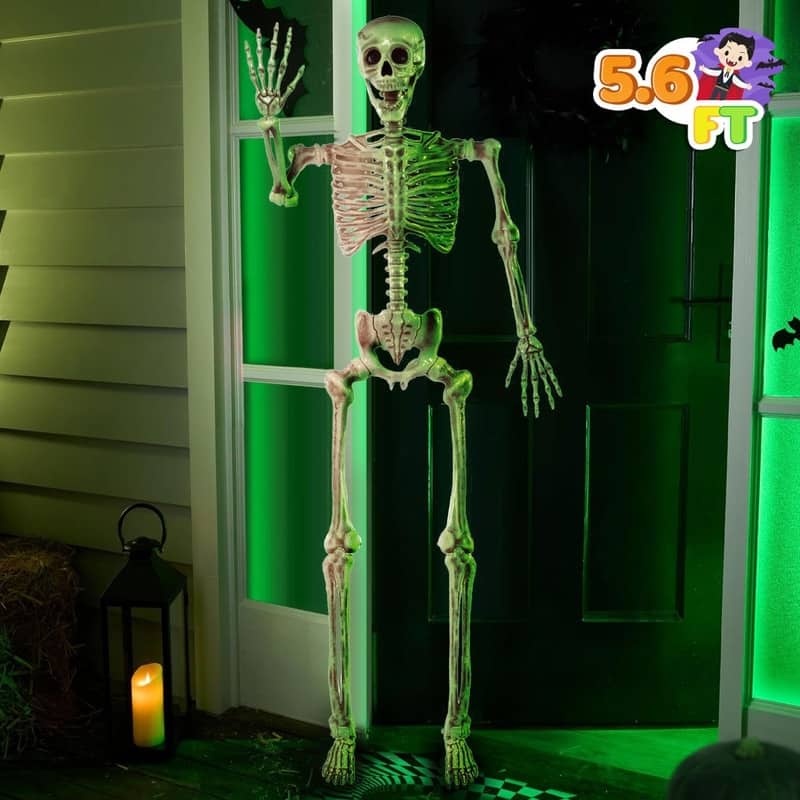 5.6 FT Halloween Posable Body Skeleton