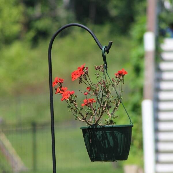 hanging garden plants Elegance Hanging Basket - Small 30cm main image 1