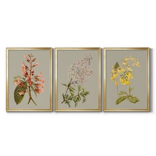 Botanical Array I Premium Framed Canvas - Ready to Hang - Multi-Color ... image.