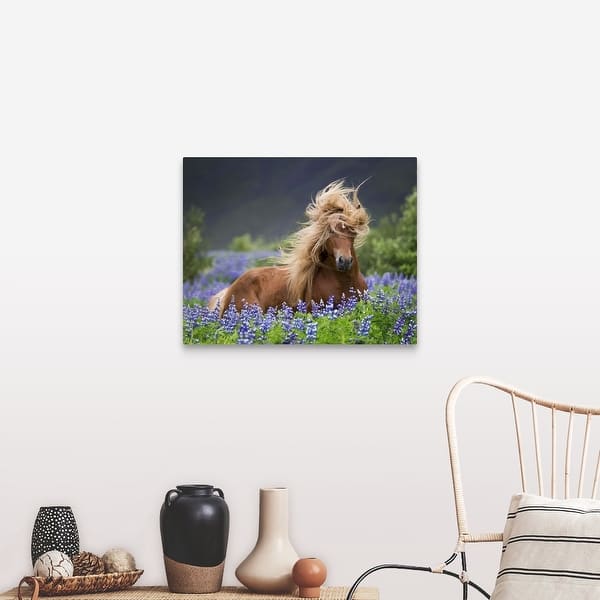 Purebred Icelandic Horse In The Summertime With Blooming Lupines Iceland Canvas Wall Art Overstock 16893223