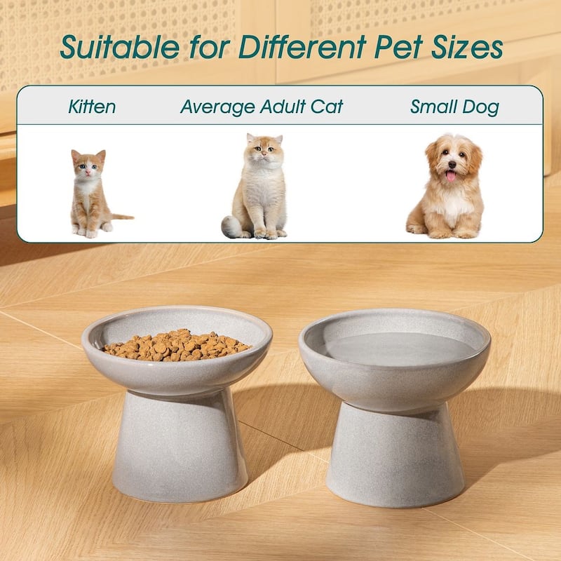 vancasso Elevated Stoneware 2-Piece Raised Dog & Cat Bowl Set