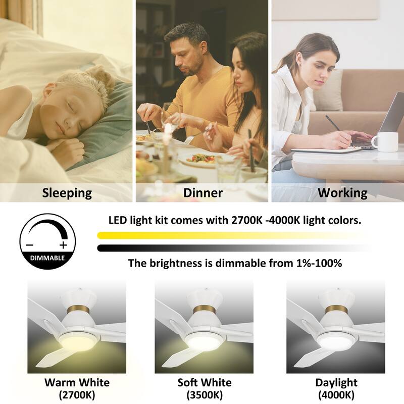CARRO Jaiden 44" 3-Blade White Smart Ceiling Fan with Light and Remote-Flush Mount