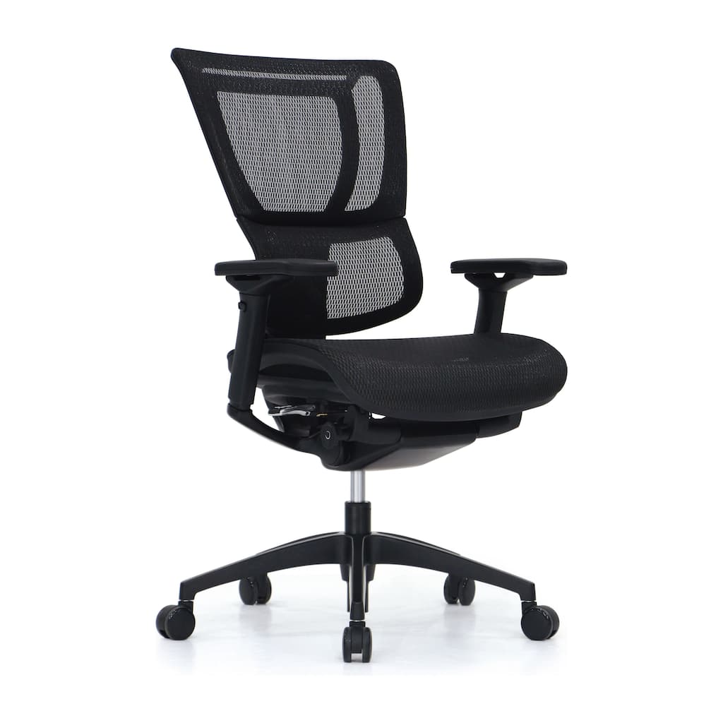 Eurotech Seating iOO Executive Chair w/ Dynamic Lumbar Support