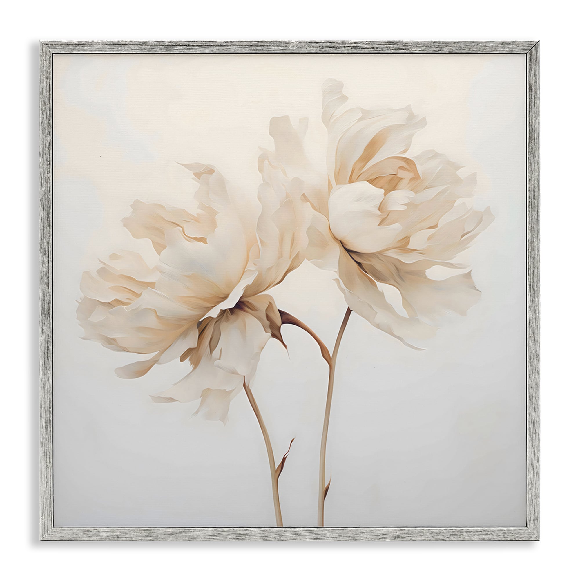 Stupell Soft Blooming White Peonies Framed Giclee Art Design By Creative Studio