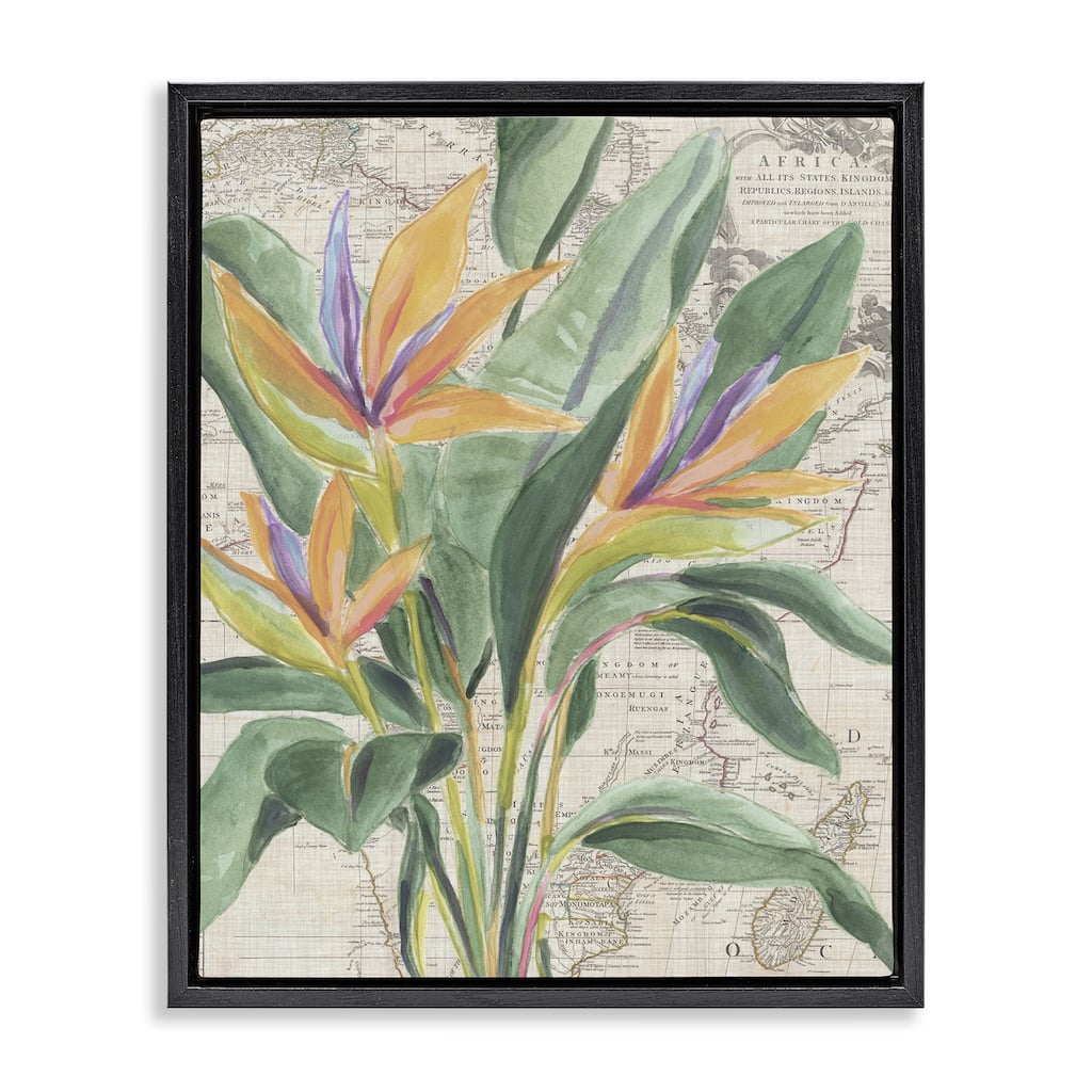 Stupell Bird of Paradise over Map Framed Floater Canvas Wall Art Design By June Erica Vess