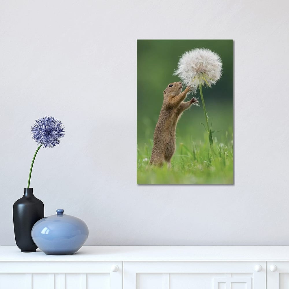 iCanvas "Ziesel With A Very Big Dandelion IV" by Dick van Duijn Canvas Print