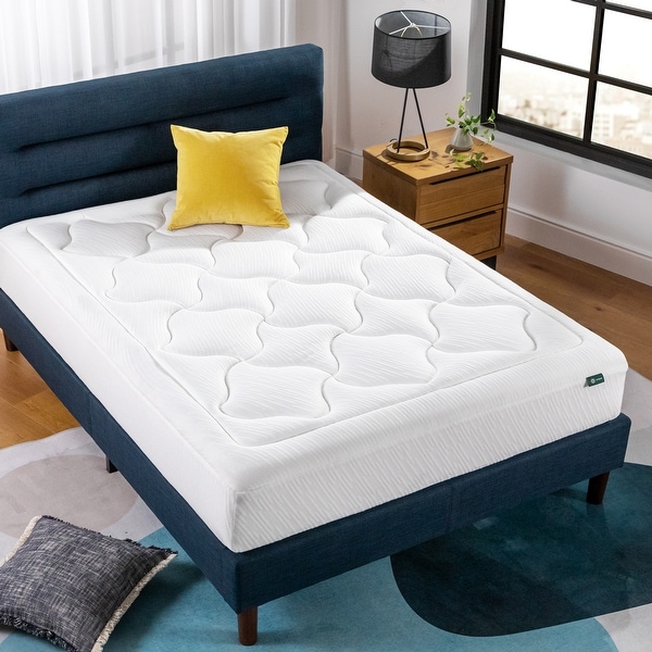 Zinus 10 deals inch mattress