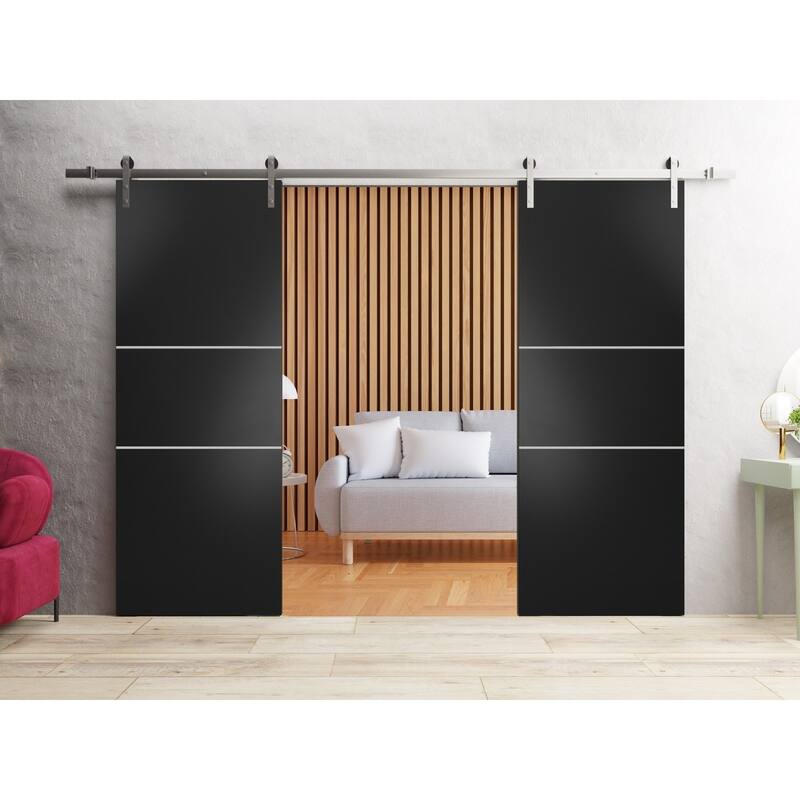 Sturdy Double Barn Door 36 x 80 with Planum 0110 Matte Black with 13FT