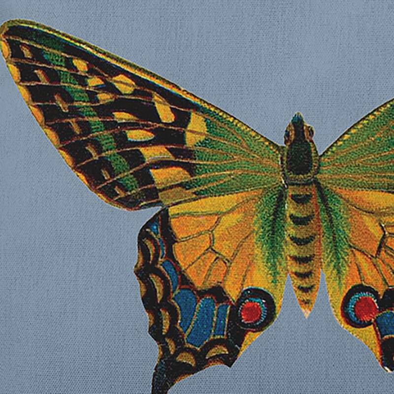 Colorful Swallowtail Polyester Indoor Pillow