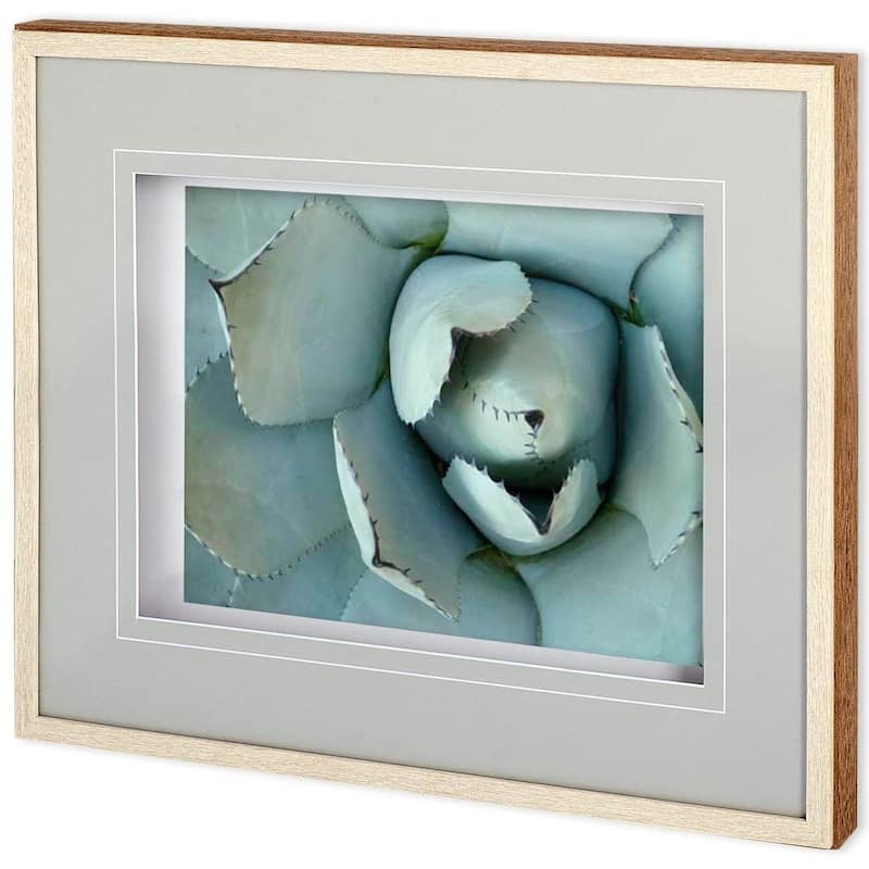 Agave Detail II Framed Art Print