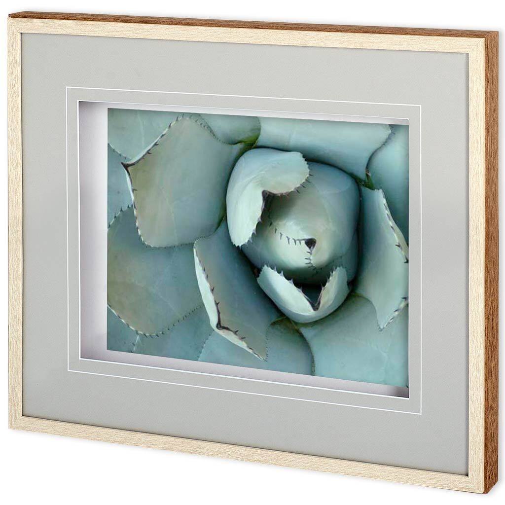 Agave Detail II Framed Art Print