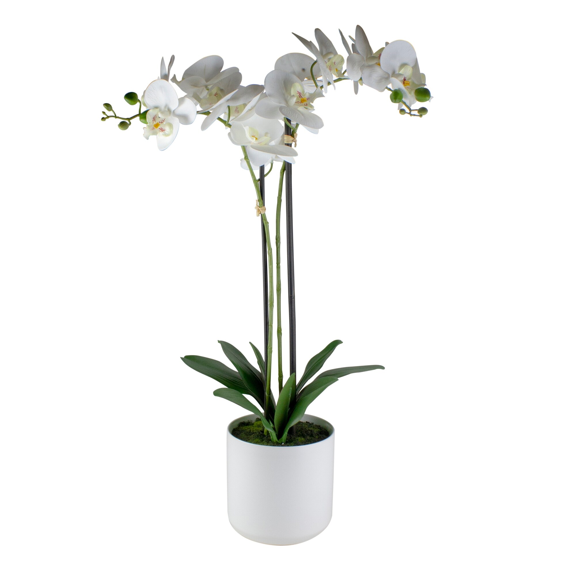Shop 29 White Blossom Artificial Potted Orchid Plant On Sale Overstock 31711776