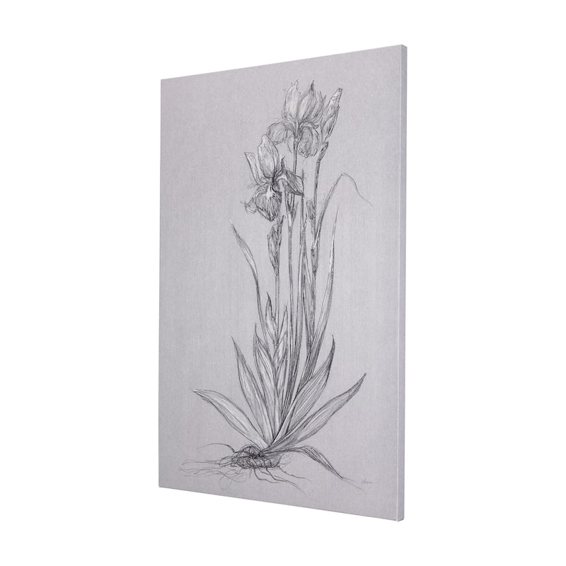 Botanical Sketches IV (Grey) (24 x 36) Canvas Art Print